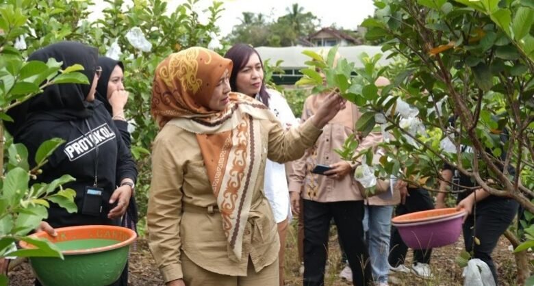 Pesan Ketua TP PKK Barito Utara Saat Panen Raya Jambu Kristal