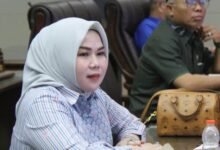 Posyandu Garda Terdepan Pencegahan Stunting, Dukung Implementasi 6 SPM