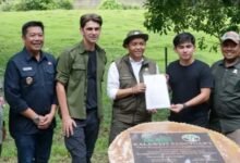 Menteri LHK Resmikan Pusat Suaka Owa di Barito Utara