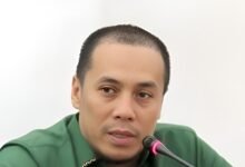 Konservasi Owa, Parmana Setiawan: Ini Aset Daerah