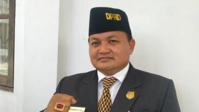 Kapuas Berpotensi Jadi Lumbung Pangan Kalteng, Pembinaan Petani Padi Harus Jadi Prioritas Utama