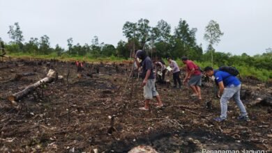 Polsek Sepang Laksanakan Penanaman Jagung Kuartal I 2026 Dukung Ketahanan Pangan Nasional Polsek Sepang Laksanakan Penanaman Jagung Kuartal I 2026 Dukung Ketahanan Pangan Nasional