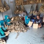 Melihat Aksi Ketua PKK Barito Utara Bina Pengrajin Anyaman Rotan di Pelosok