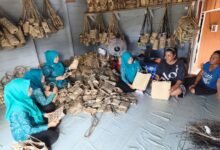 Melihat Aksi Ketua PKK Barito Utara Bina Pengrajin Anyaman Rotan di Pelosok