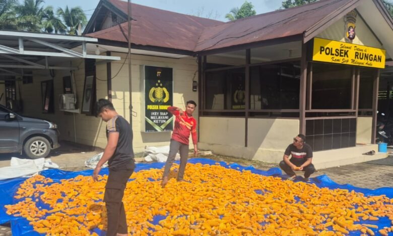 Halaman Mapolsek Rungan Jadi Lokasi Penjemuran Jagung, Polri Dukung Swasembada Pangan