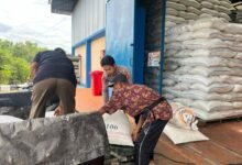 Polsek Tewah Serahkan Hasil Panen Jagung Hibrida Kwartal IV ke Bulog