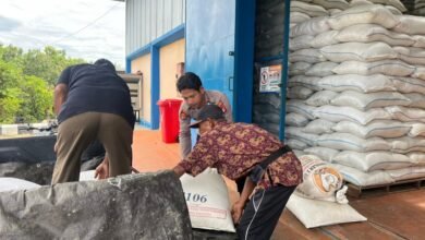 Polsek Tewah Serahkan Hasil Panen Jagung Hibrida Kwartal IV ke Bulog