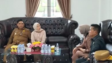 Ardianto Soroti Proyek Jalan Butong yang Bermasalah