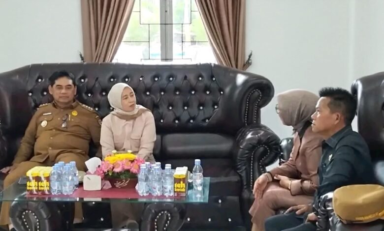 Ardianto Soroti Proyek Jalan Butong yang Bermasalah