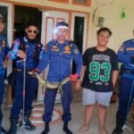 Ada Biawak Sembunyi di Rumah Warga Teweh Tengah