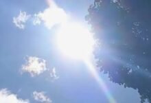 BMKG Prediksi Musim Kemarau Datang Lebih Awal dan Lebih Kering