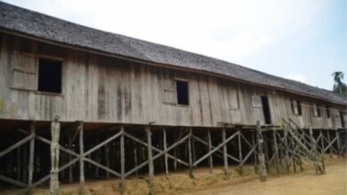 Lebih dari Sekadar Kayu Ulin, Inilah Jantung Kehidupan Suku Dayak Barito