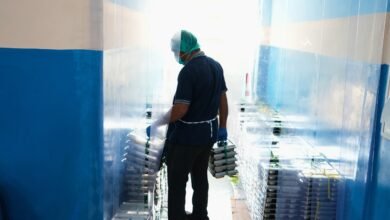 BGN Tutup Sementara 1.256 SPPG Wilayah III BGN Tutup Sementara 1.256 SPPG Wilayah III