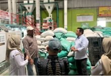 Barito Utara Pelajari Hilirisasi Pertanian di Nganjuk