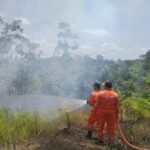 BPBD Barito Utara Padamkan Karhutla di Jalan Pendreh