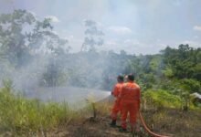 BPBD Barito Utara Padamkan Karhutla di Jalan Pendreh