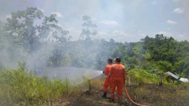 BPBD Barito Utara Padamkan Karhutla di Jalan Pendreh