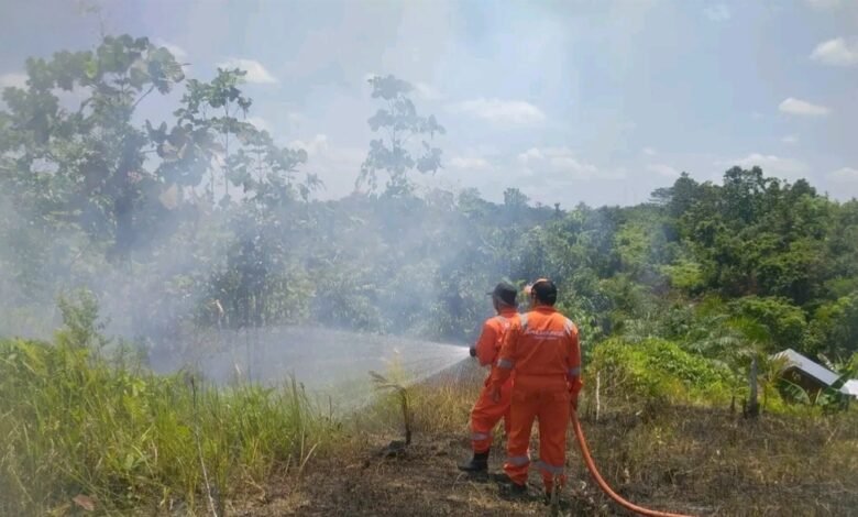 BPBD Barito Utara Padamkan Karhutla di Jalan Pendreh