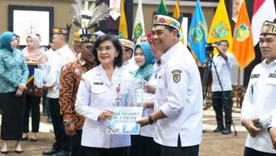 Daftar Penghargaan Barito Utara di Rakorda Stunting Kalteng