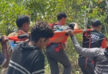 Alhamdulillah! Nenek Hilang di Hutan Ditemukan Selamat, Sempat “Kucing-kucingan” di Area Pencarian?