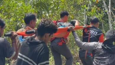 Alhamdulillah! Nenek Hilang di Hutan Ditemukan Selamat, Sempat “Kucing-kucingan” di Area Pencarian?