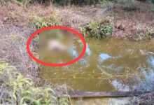 Geger! Pria di Barito Utara Ditemukan Tewas Mengapung Tanpa Busana