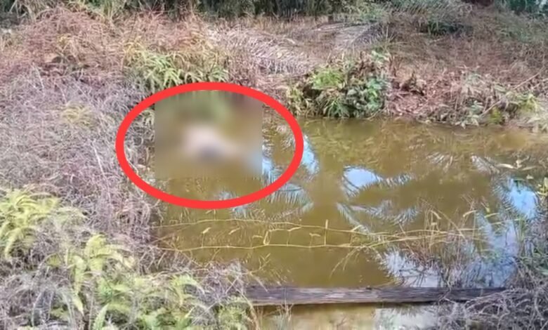 Geger! Pria di Barito Utara Ditemukan Tewas Mengapung Tanpa Busana