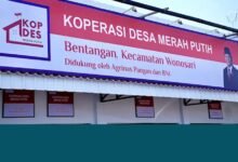Dibuka 30.000 Lowongan Manajer Koperasi Merah Putih, Begini Cara Daftarnya