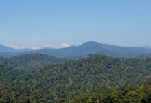 Mengapa Pegunungan Muller Disebut Sebagai Jantung Pulau Kalimantan? Mengapa Pegunungan Muller Disebut Sebagai Jantung Pulau Kalimantan?