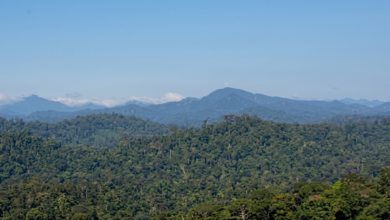 Mengapa Pegunungan Muller Disebut Sebagai Jantung Pulau Kalimantan?