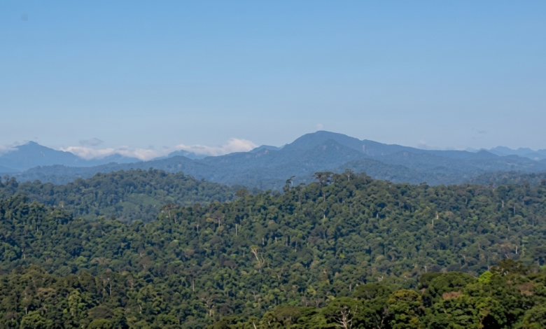 Mengapa Pegunungan Muller Disebut Sebagai Jantung Pulau Kalimantan? Mengapa Pegunungan Muller Disebut Sebagai Jantung Pulau Kalimantan?