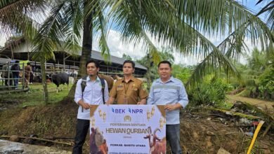 Idul Adha 1447 H, PT BEK-NPR Perkuat Kepedulian Sosial di Barito Utara