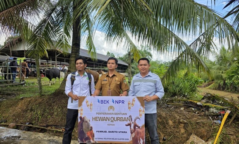 Idul Adha 1447 H, PT BEK-NPR Perkuat Kepedulian Sosial di Barito Utara Idul Adha 1447 H, PT BEK-NPR Perkuat Kepedulian Sosial di Barito Utara