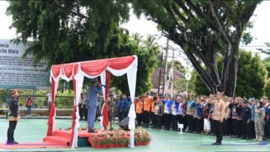 Sekda Muhlis Ajak Generasi Muda Berinovasi Sekda Muhlis Ajak Generasi Muda Berinovasi