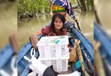 Kronologi Penemuan Lansia yang Hilang 10 Hari di Hutan Malawaken oleh Pencari Burung Kronologi Penemuan Lansia yang Hilang 10 Hari di Hutan Malawaken oleh Pencari Burung