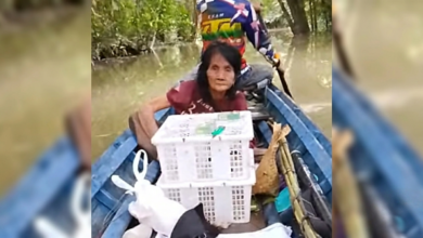 Kronologi Penemuan Lansia yang Hilang 10 Hari di Hutan Malawaken oleh Pencari Burung