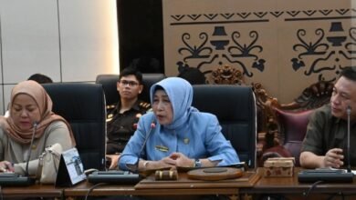 Cari Payung Hukum bagi Penambang Rakyat