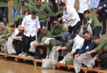 Pemkab Barito Utara Lepas Puluhan Ribu Benih Ikan Lokal di DAM Trinsing