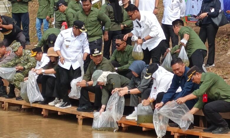 Pemkab Barito Utara Lepas Puluhan Ribu Benih Ikan Lokal di DAM Trinsing