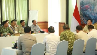 Data Karhutla Kalteng: 7,6 Ribu Hektare Lahan Terbakar, 13 Daerah Siaga Darurat