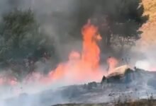 Bromo Terbakar, Menhut Ancam Pidana Pemicu Karhutla Bromo Terbakar, Menhut Ancam Pidana Pemicu Karhutla