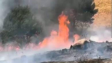 Bromo Terbakar, Menhut Ancam Pidana Pemicu Karhutla Bromo Terbakar, Menhut Ancam Pidana Pemicu Karhutla