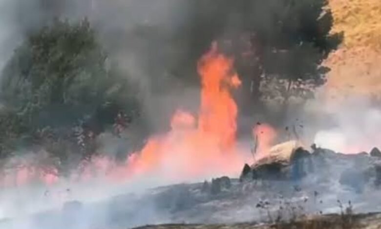 Bromo Terbakar, Menhut Ancam Pidana Pemicu Karhutla