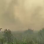 Mengapa Karhutla di Kalimantan Tengah Makin Sulit Dipadamkan?