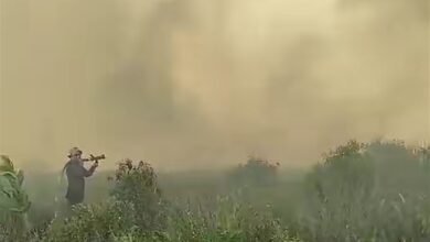 Mengapa Karhutla di Kalimantan Tengah Makin Sulit Dipadamkan?