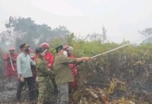 Shalahuddin Turun Langsung Padamkan Kebakaran Lahan Gambut di Desa Trahean Shalahuddin Turun Langsung Padamkan Kebakaran Lahan Gambut di Desa Trahean