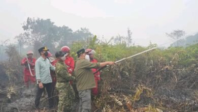 Shalahuddin Turun Langsung Padamkan Kebakaran Lahan Gambut di Desa Trahean