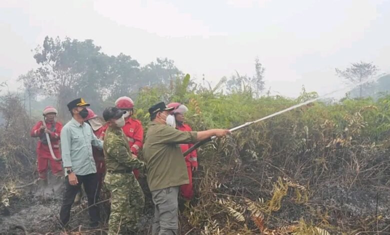 Shalahuddin Turun Langsung Padamkan Kebakaran Lahan Gambut di Desa Trahean