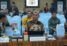 Pemkab Barito Utara Perketat Pengawasan Perkebunan Sawit Swasta