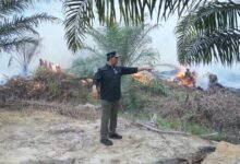 Shalahuddin dan Forkopimda Turun Langsung ke Titik Api